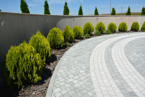 Best Driveway Paving Contractor  in Thermal, CA